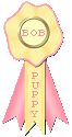 ROP-pentu