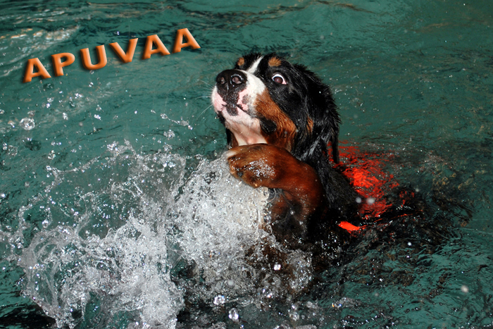 a-a-aa-puu-va!