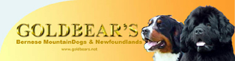 Kennel Goldbear's